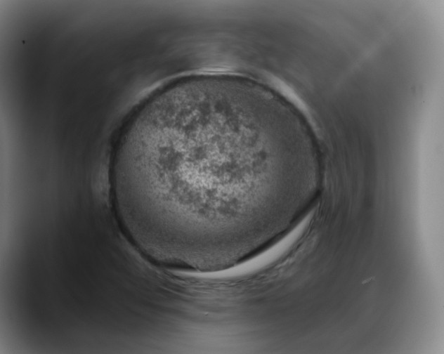 X0000088871456200706151745
