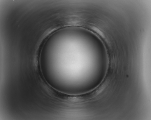 X0000088871458200706151745