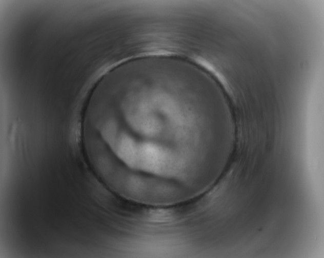 X0000088871459200706151745