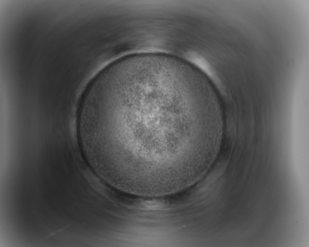 X0000088871460200706151745