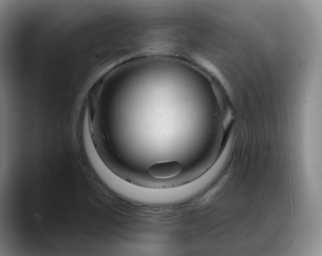 X0000088871461200706151745