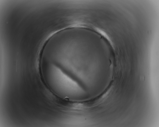 X0000088871463200706151745