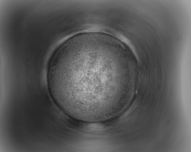 X0000088871464200706151745