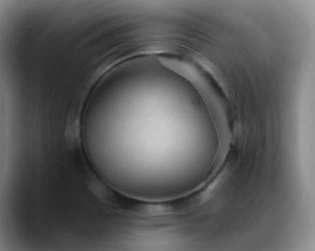 X0000088871465200706151745
