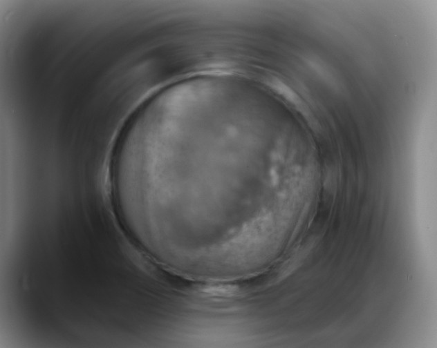 X0000088871466200706151745