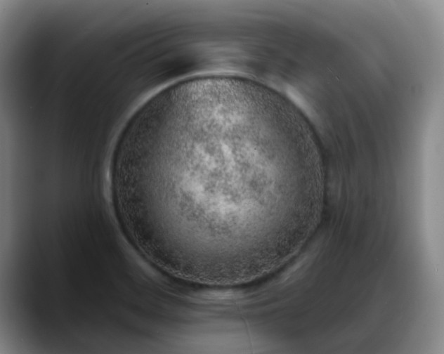X0000088871468200706151745