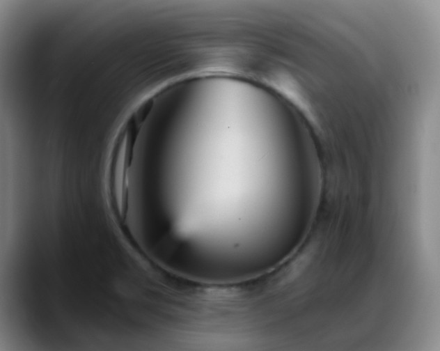 X0000088871469200706151745