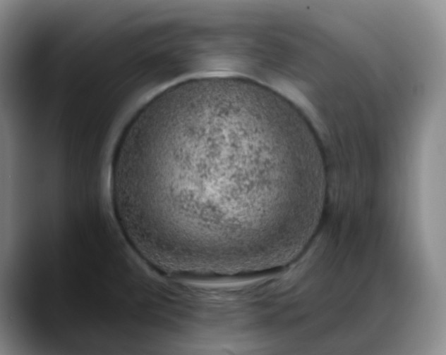 X0000088871472200706151745