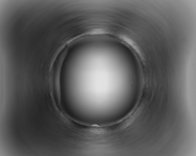 X0000088871473200706151745