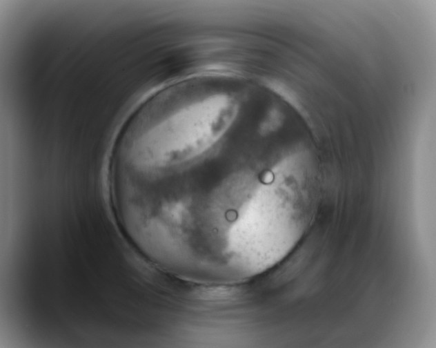 X0000088871474200706151745