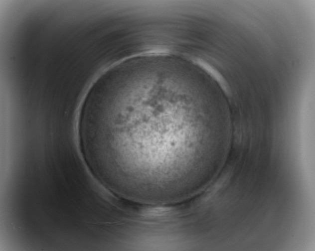 X0000088871475200706151745