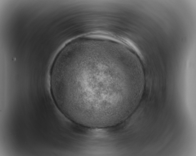 X0000088871476200706151745