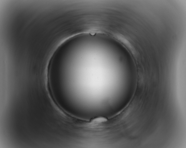 X0000088871479200706151745
