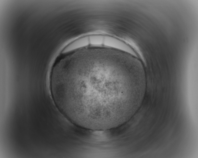 X0000088871480200706151745