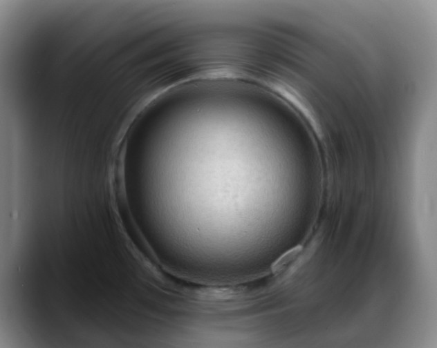 X0000088871481200706151744