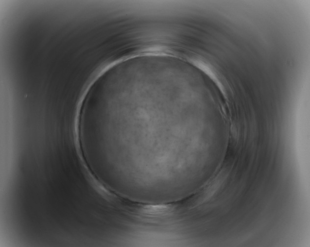 X0000088871482200706151744