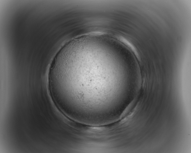X0000088871483200706151744