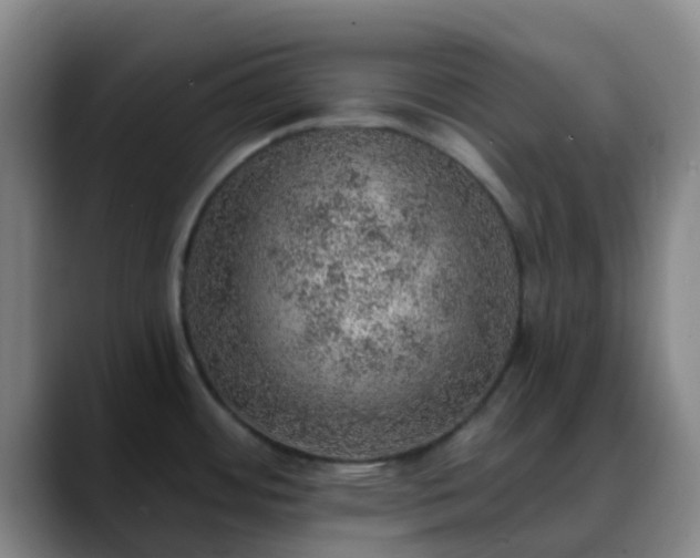 X0000088871484200706151744