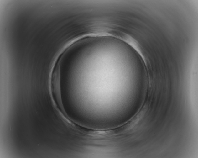 X0000088871485200706151744