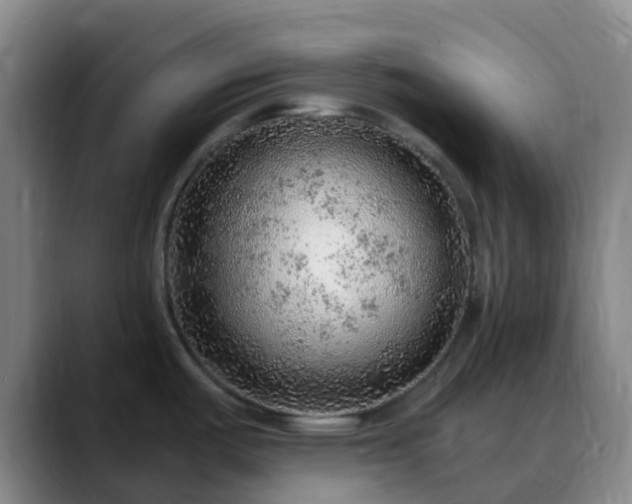 X0000088871487200706151744