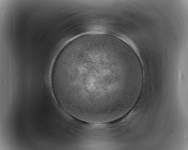 X0000088871488200706151744