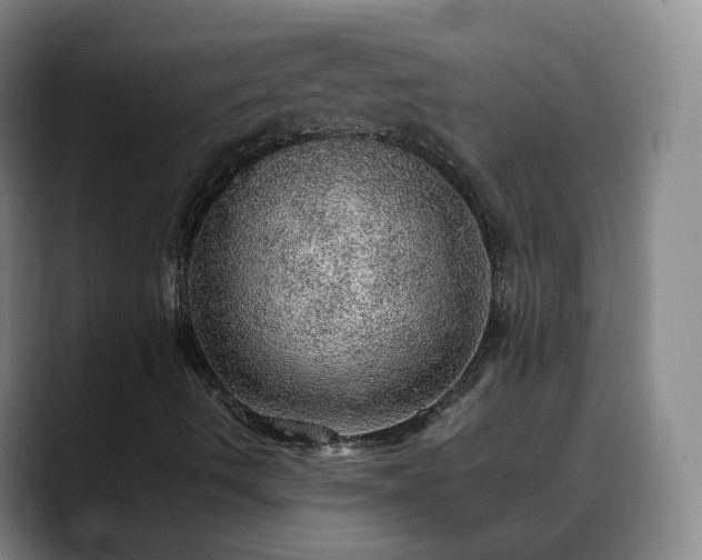 X0000088871490200706151744