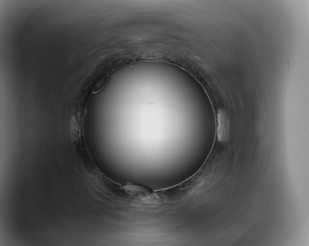 X0000088871491200706151744