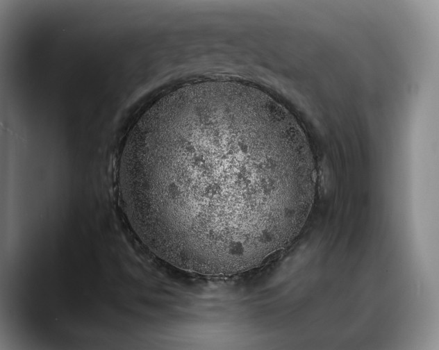 X0000088871494200706151744