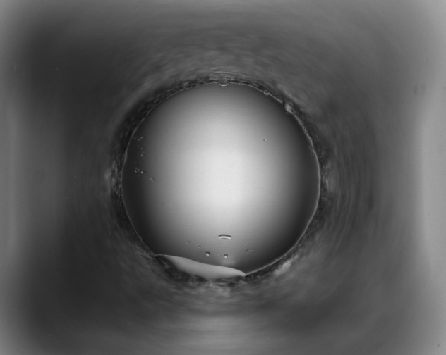 X0000088871495200706151744