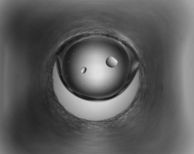 X0000088871496200706151744