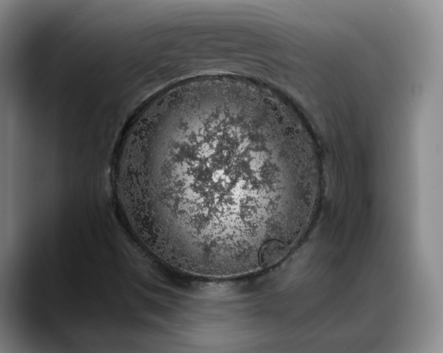 X0000088871497200706151744