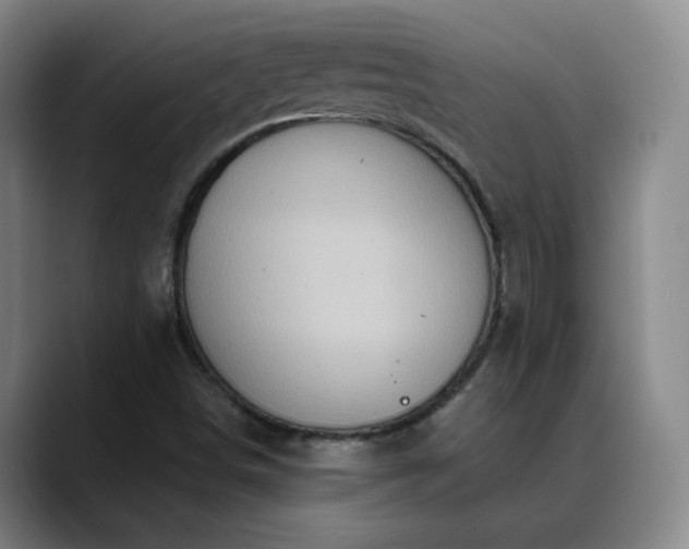 X0000088871498200706151744