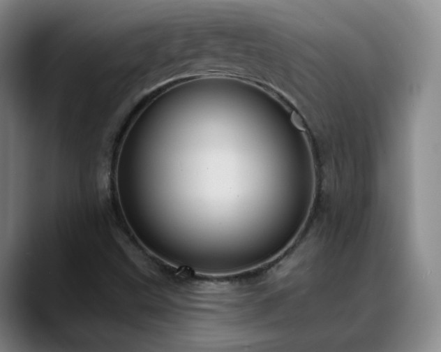 X0000088871499200706151744