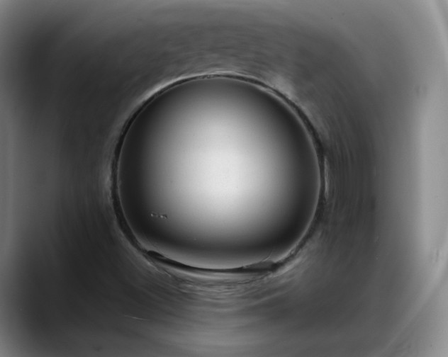 X0000088871500200706151744