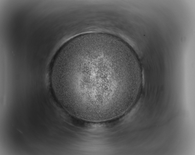 X0000088871501200706151744