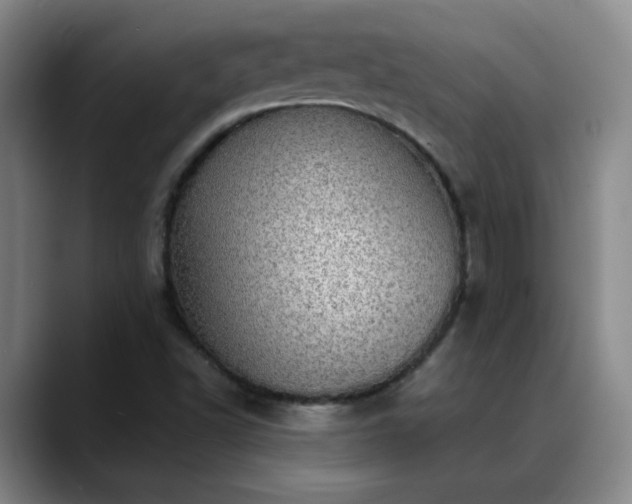 X0000088871502200706151744