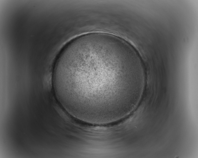 X0000088871503200706151744