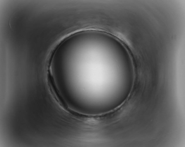 X0000088871504200706151744