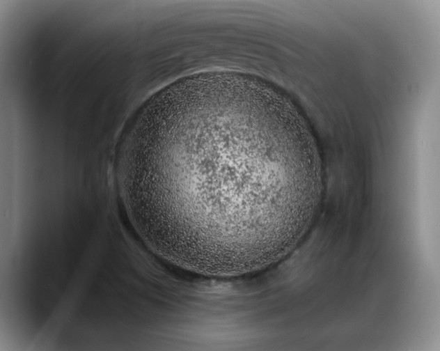 X0000088871505200706151744