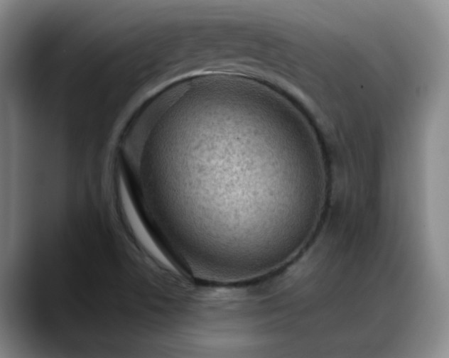 X0000088871506200706151744