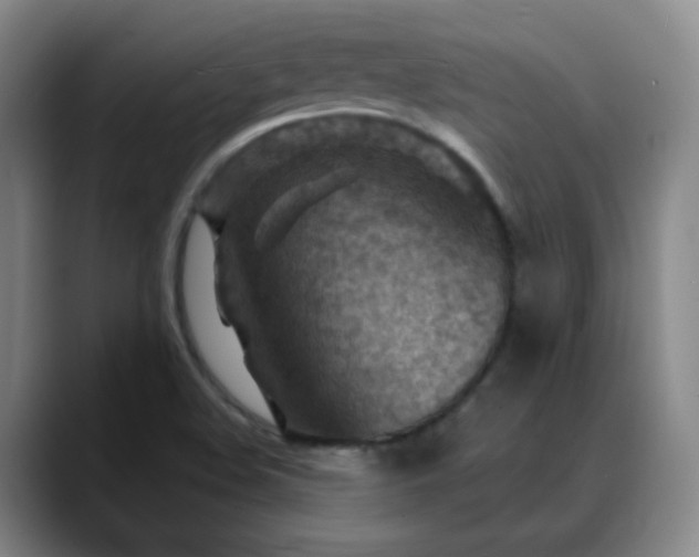 X0000088871508200706151744