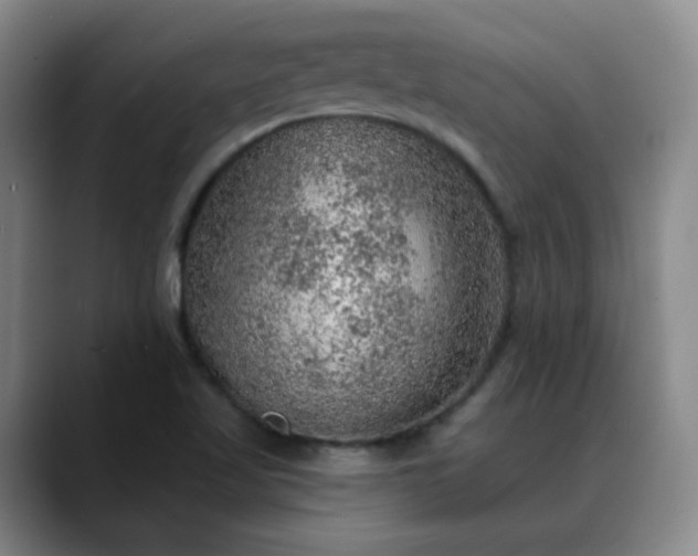 X0000088871509200706151744