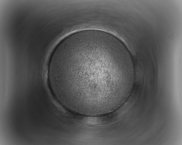 X0000088871511200706151744