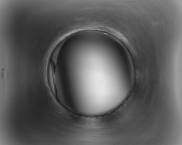 X0000088871512200706151744