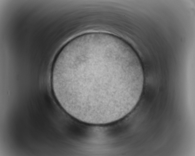 X0000088871514200706151744