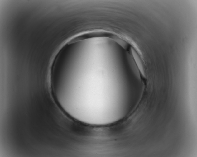 X0000088871516200706151744