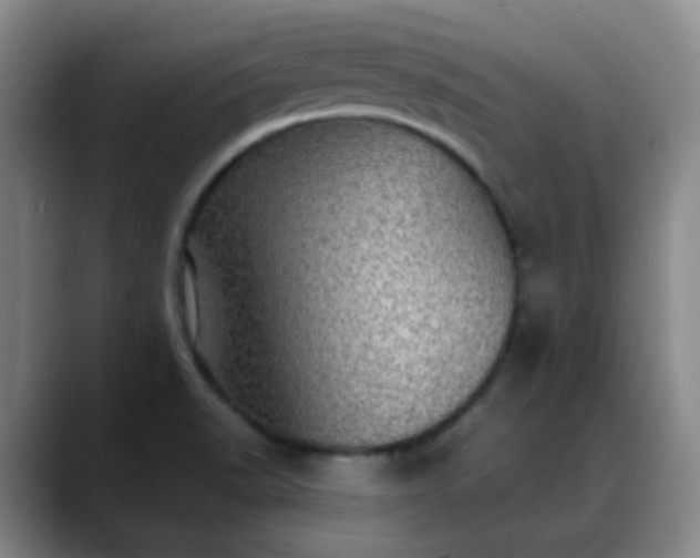 X0000088871518200706151744