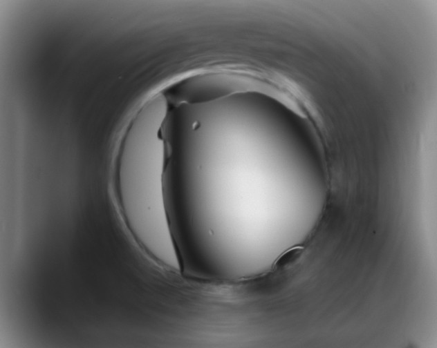 X0000088871520200706151744