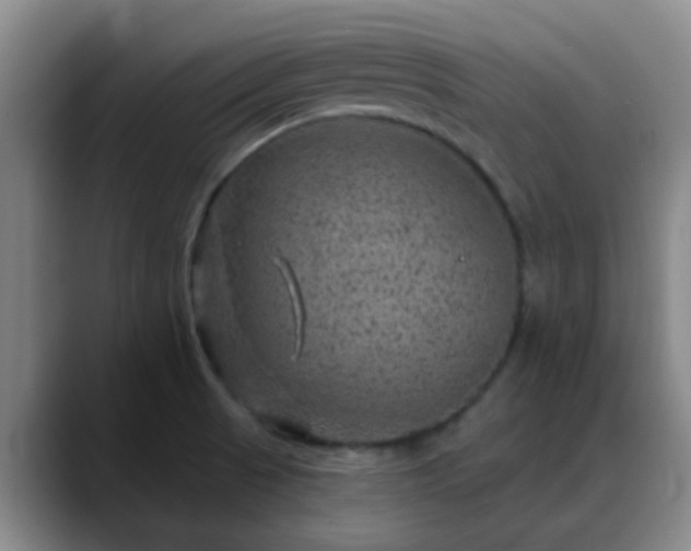 X0000088871521200706151744
