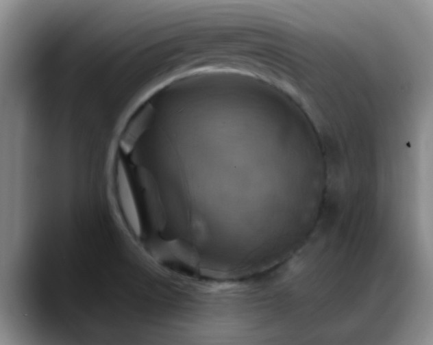 X0000088871522200706151744